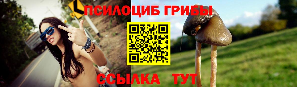 Галлюциногенные грибы мицелий  Аша  Псилоцибиновые грибы MAGIC MUSHROOMS 